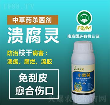 �в�ˎ������-�����`-�W�S