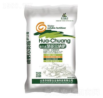 ���ϑB(t��i)���ܸ�����-�A��(chu��ng)(li��n)��