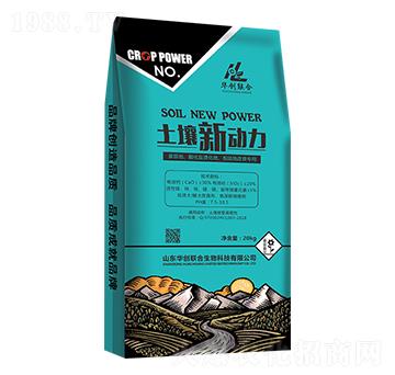 ��������-�A��(chu��ng)(li��n)��