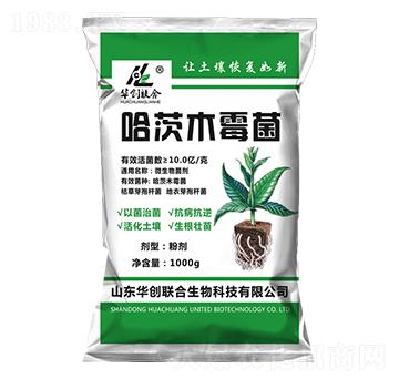 ����ľù��-�A��(chu��ng)(li��n)��