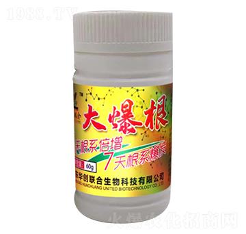 �󱬸�-�A��(chu��ng)(li��n)��