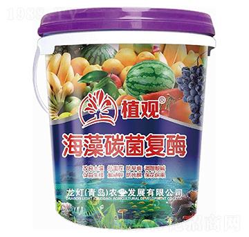 ����̼����(f��)ø-ֲ�^-�����r(n��ng)�I(y��)