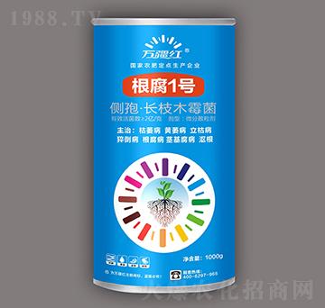 ���������Ŀ���-����1̖(h��o)-�f���t