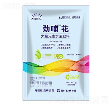 1000g���״ٸ��������ʹ���Ԫ��ˮ�ܷ���10-34-18+TE-�Ų���-�f���t