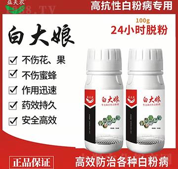 ��(zhu��n)�θ߿��԰׷۲�-�״���-����r(n��ng)