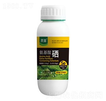 ��������-�`��-�ֵ����Z