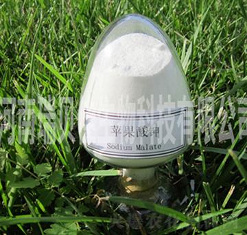 �O�����-��ؐ������