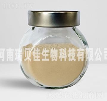 �����������i-��ؐ������