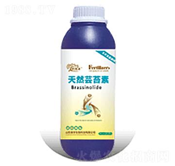 ��Ȼ�|̦��-�������