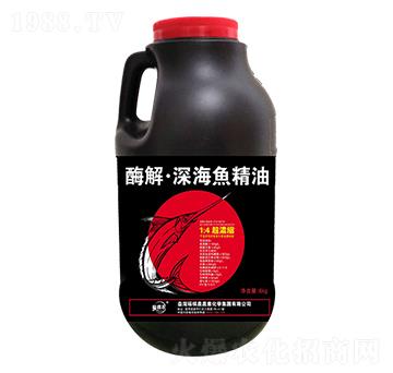 ø�⡤��~(y��)����-�������