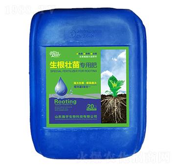 �������猣�÷�-�������