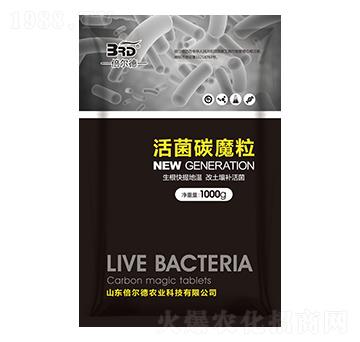 ���̼ħ��-������