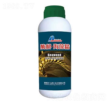 ø�⡤���徫-�W��ɳ