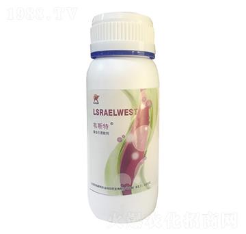 ���x���T��-�f˹��-���r(n��ng)�I(y��)