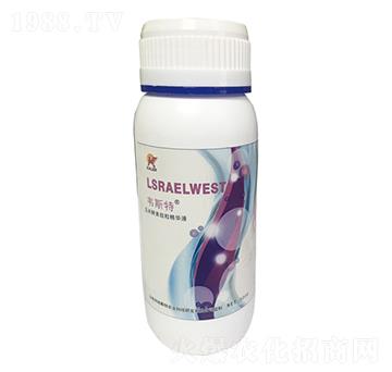 ���׽�������������AҺ-�f˹��-���r�I(y��)