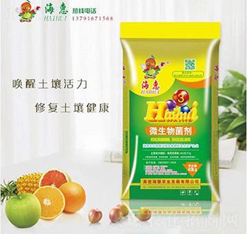 3̖΢�������-����