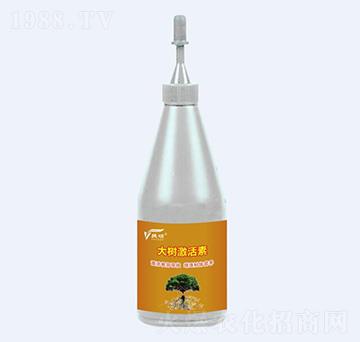 ��伤����-�ݠ��S����