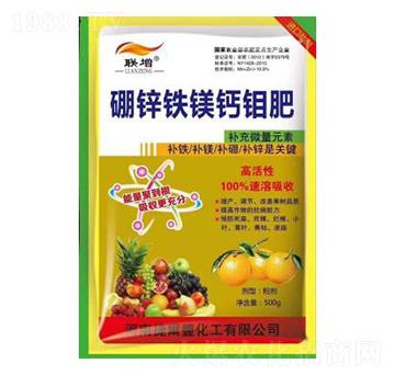 ���\�F�V�}�f��-�ݠ��S����