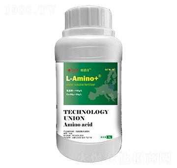 ���M(j��n)���������x������-���ZԊ(sh��)-�ư����B(t��i)