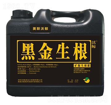 �VԴ�S����ͺ�������-�ڽ�����-���L