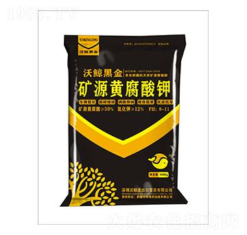 50%�VԴ�S�����-���L