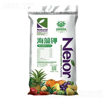 �����-Ħ���-��Ȫ����