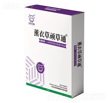 ޹�²��B��ͨ-���A����