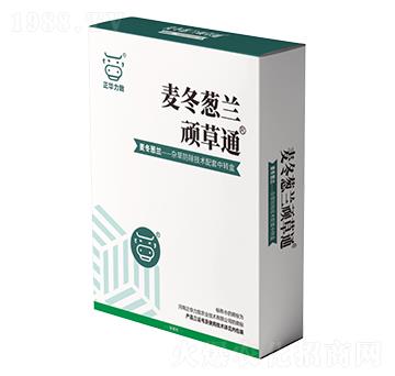 �����[�m�B��ͨ-���A����