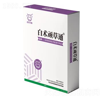 ���g(sh��)�B��ͨ-���A����