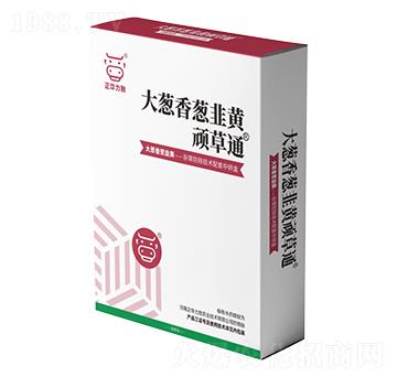 ���[�����[�����S�B��ͨ-���A����