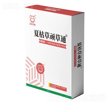 �Ŀݲ��B��ͨ-���A����