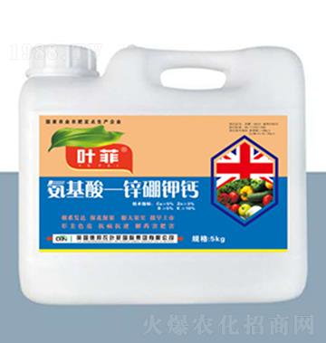 �������\����}-�°��~��