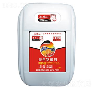 ΢�������-������-ϲ����