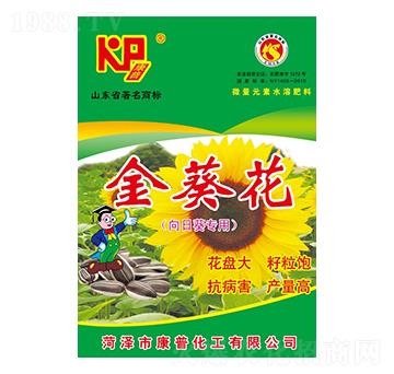 ����������տ����ã�-���շʘI(y��)