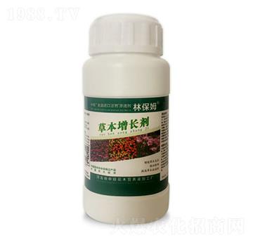 �ݱ����L��-�ֱ�ķ-�T�ַ���