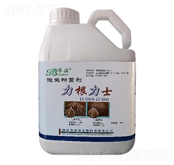 ΢�������-������ʿ-�A�I����