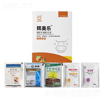 ���������o�����������ݲ�����ή���ײ�-�x����-���A����