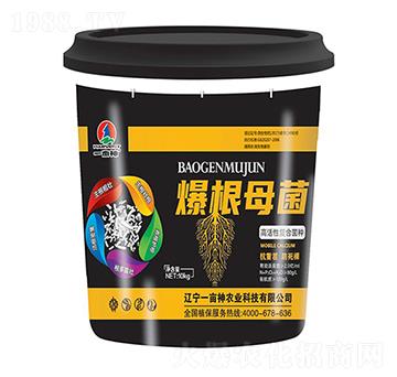 �߻��ԏͺϾ��N-����ĸ��-һ����