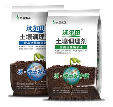 �����{�턩-��������