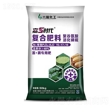 �ͺϷ���15-17-1