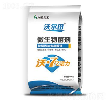 ΢�������-�֠���-��