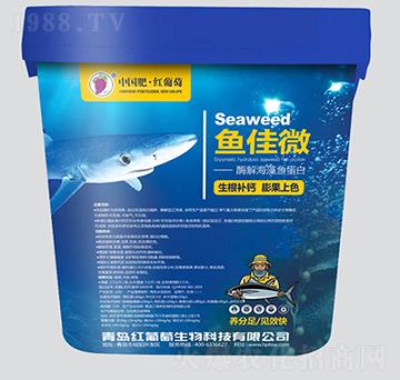 ø�⺣���~����-�~��΢-�t����