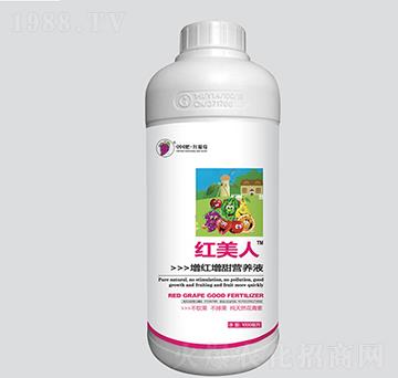 �t�������t����I(y��ng)�B(y��ng)Һ-�t����