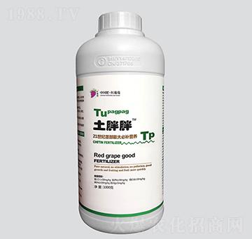 �������o�������a(b��)�I�B(y��ng)-�t����