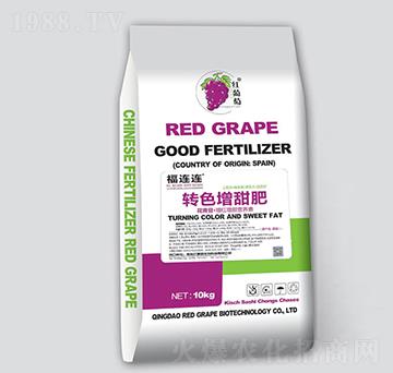 �D(zhu��n)ɫ�����-���B�B-�t����