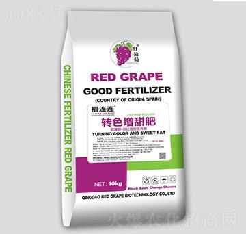 �Dɫ�����-�t����