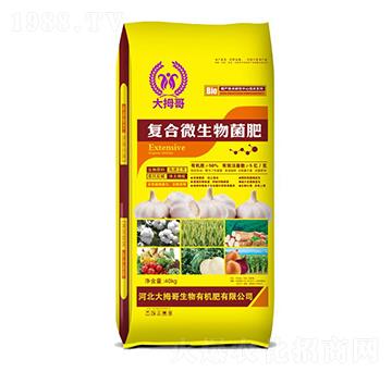 �ͺ�΢�������-��Ĵ��