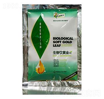 ����ܛ�S��-����