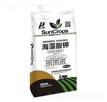 �������20kg-�������