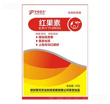 �t����-�����r�I(y��)